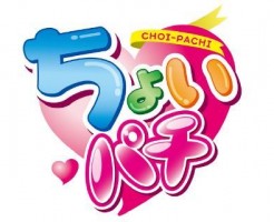 ちょいパチ　解説