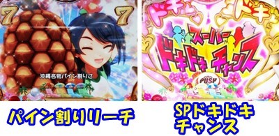 CR南国育ち 羽根｜保留・演出信頼度・スペック・ボーダー | パチンコ