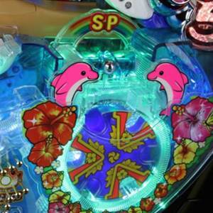 CR南国育ち 羽根｜保留・演出信頼度・スペック・ボーダー | パチンコ